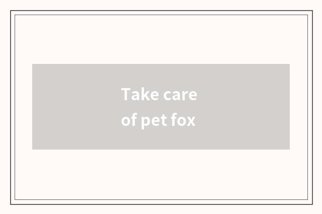 Take care of pet fox