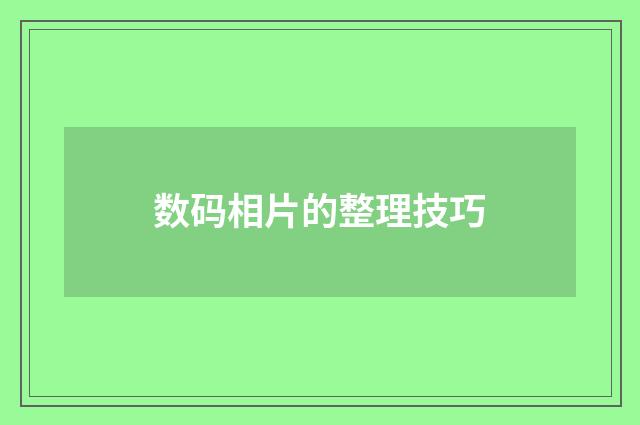数码相片的整理技巧