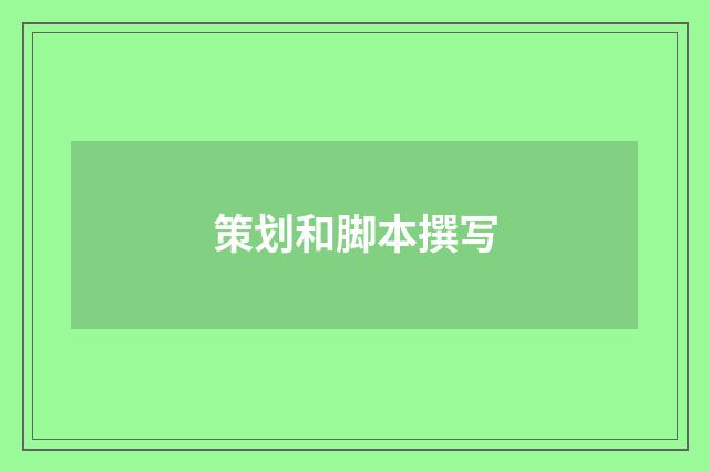 策划和脚本撰写