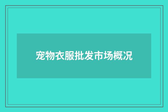 宠物衣服批发市场概况