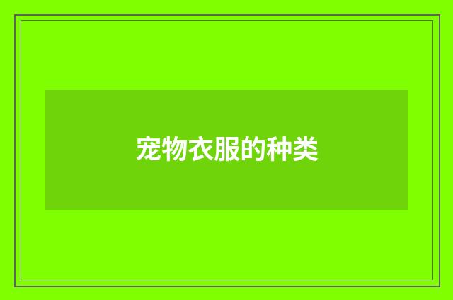 宠物衣服的种类
