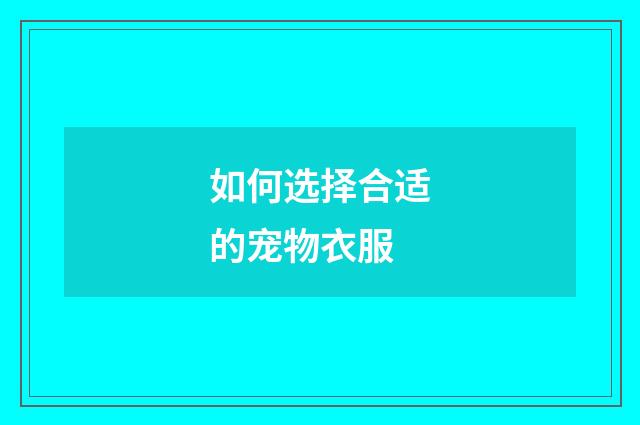 如何选择合适的宠物衣服