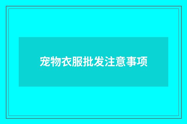 宠物衣服批发注意事项