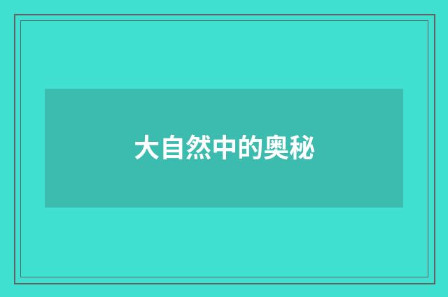 大自然中的奥秘