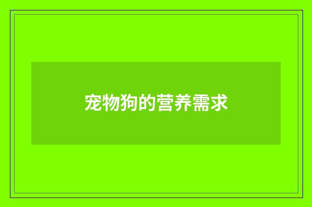 宠物狗的营养需求