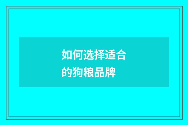 如何选择适合的狗粮品牌