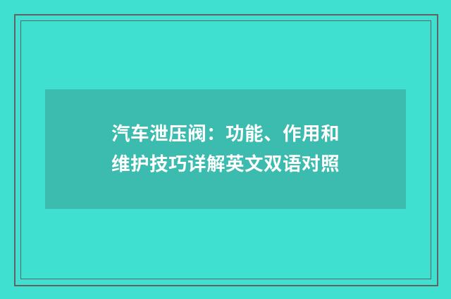 汽车泄压阀：功能、作用和维护技巧详解英文双语对照