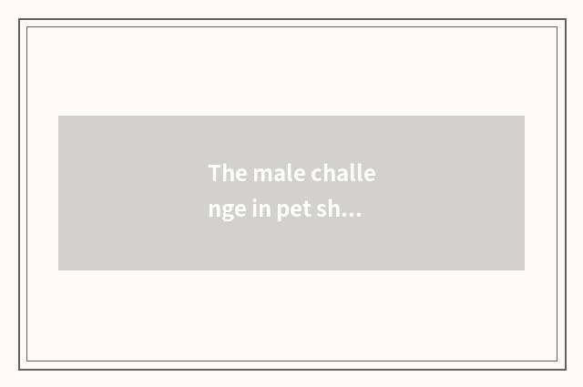 The male challenge in pet shop industry