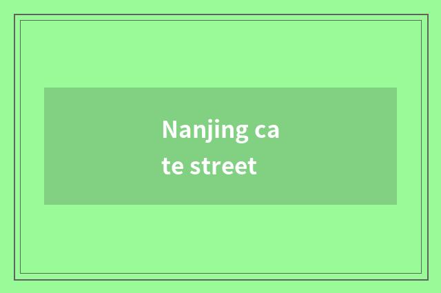 Nanjing cate street