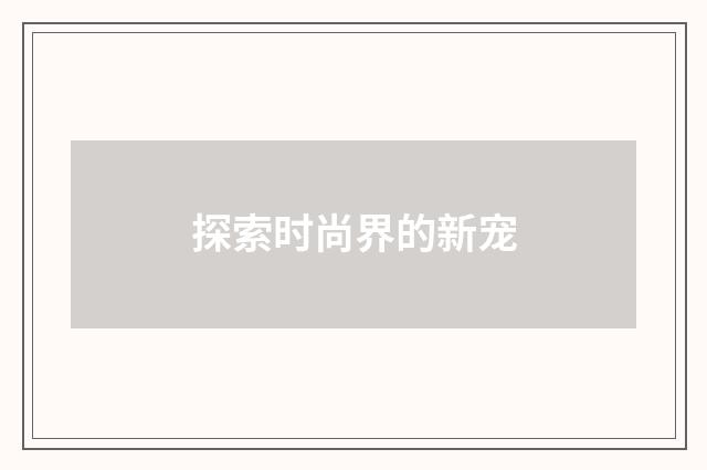 探索时尚界的新宠