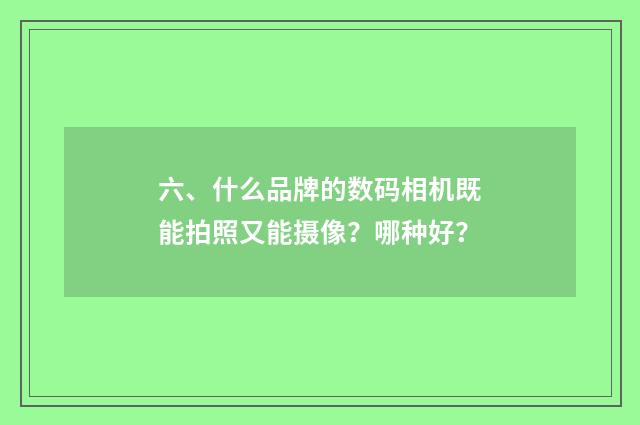 六、什么品牌的数码相机既能拍照又能摄像？哪种好？
