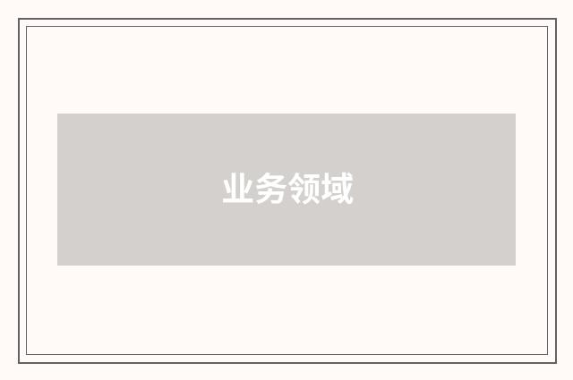 业务领域