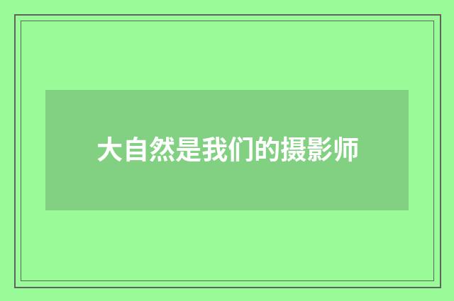 大自然是我们的摄影师