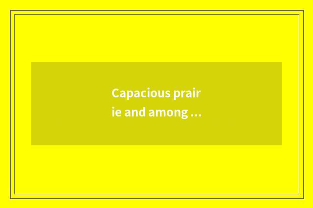 Capacious prairie and among themThe lion