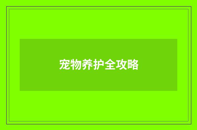 宠物养护全攻略