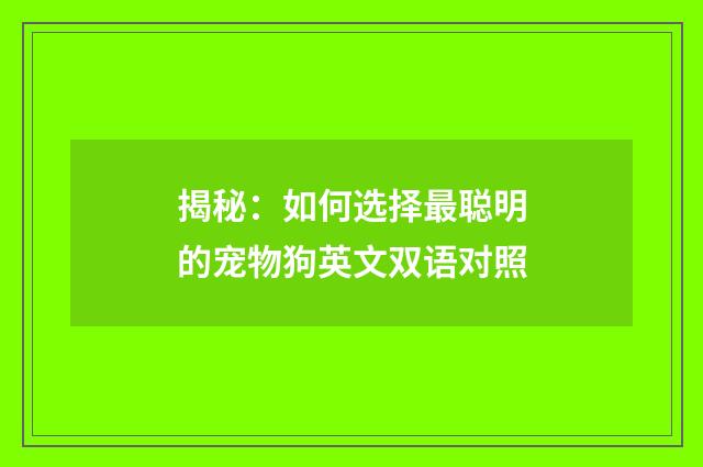揭秘:如何选择最聪明的宠物狗英文双语对照