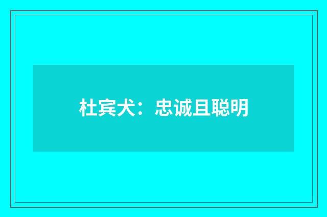 杜宾犬:忠诚且聪明
