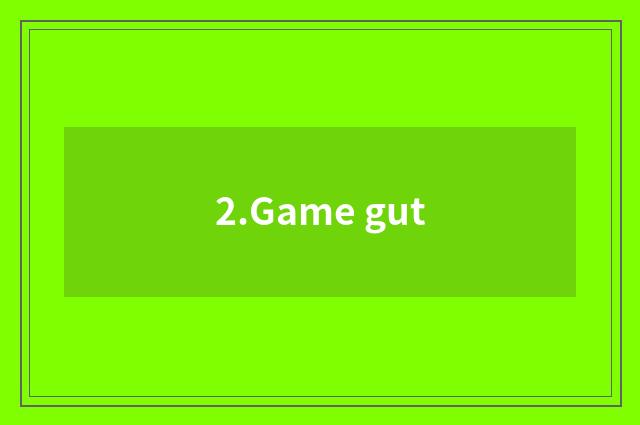 2.Game gut