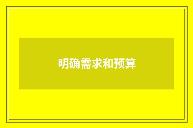 明确需求和预算