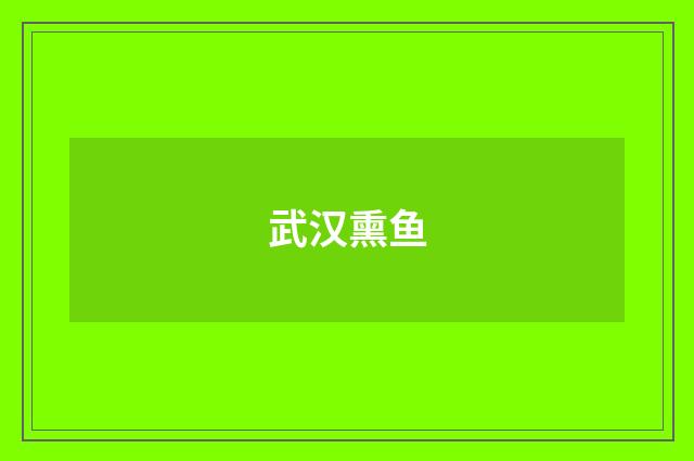 武汉熏鱼