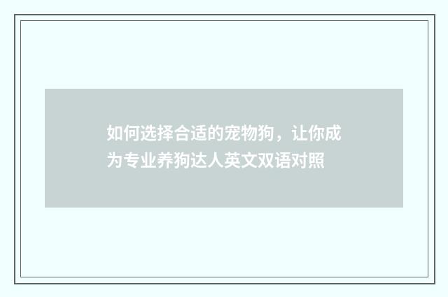 如何选择合适的宠物狗,让你成为专业养狗达人英文双语对照
