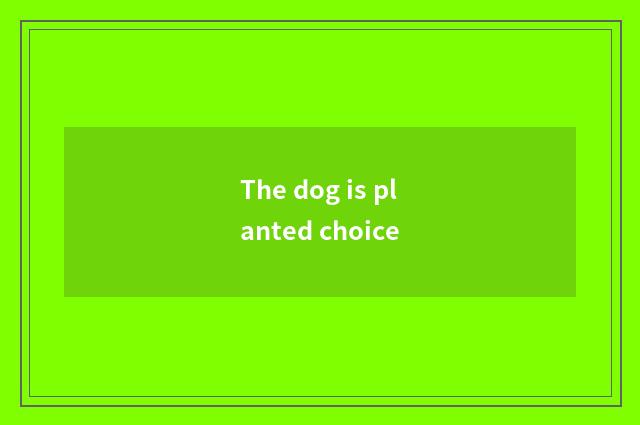 The dog is planted choice