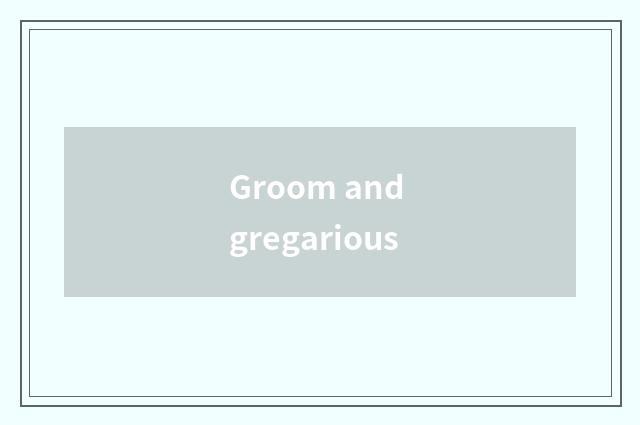 Groom and gregarious