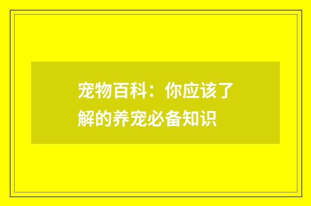 宠物百科：你应该了解的养宠必备知识