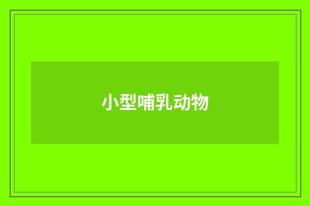 小型哺乳动物