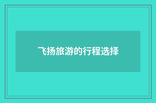 飞扬旅游的行程选择