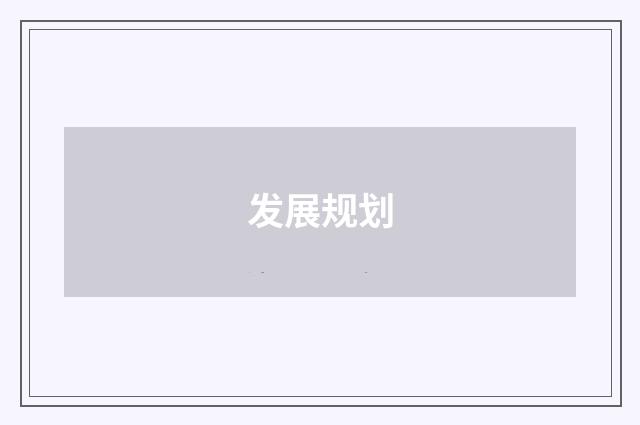 发展规划