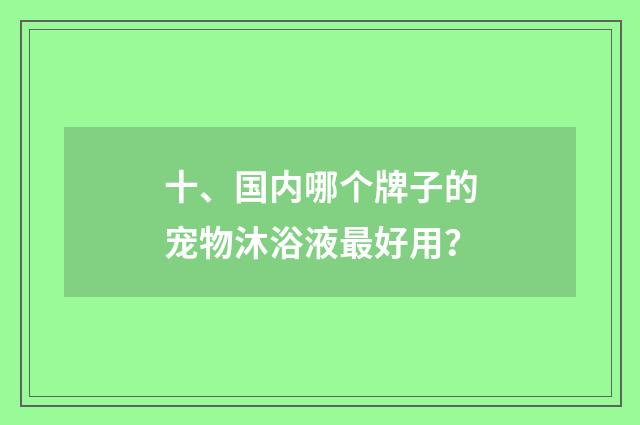 十、国内哪个牌子的宠物沐浴液最好用？