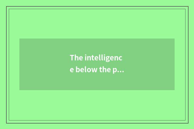 The intelligence below the pine lives in a product to summarize