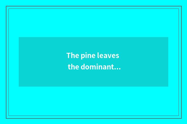 The pine leaves the dominant position that intelligence lives in