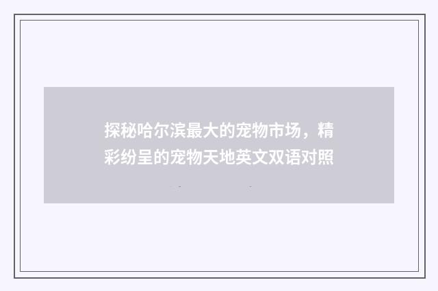 探秘哈尔滨最大的宠物市场，精彩纷呈的宠物天地英文双语对照