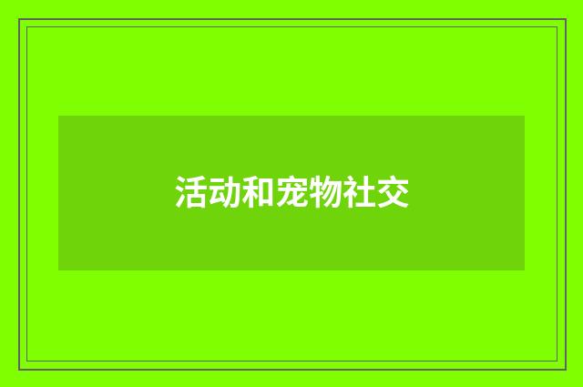 活动和宠物社交