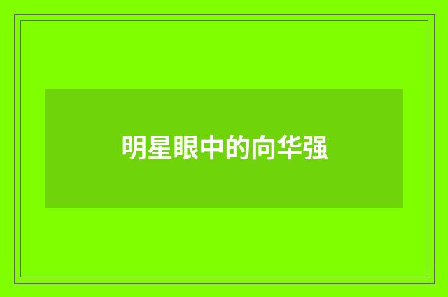 明星眼中的向华强