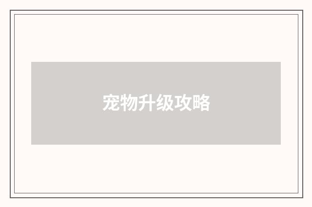 宠物升级攻略