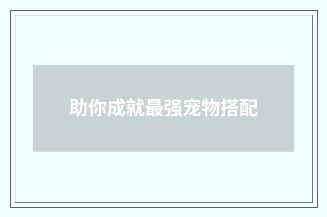 助你成就最强宠物搭配