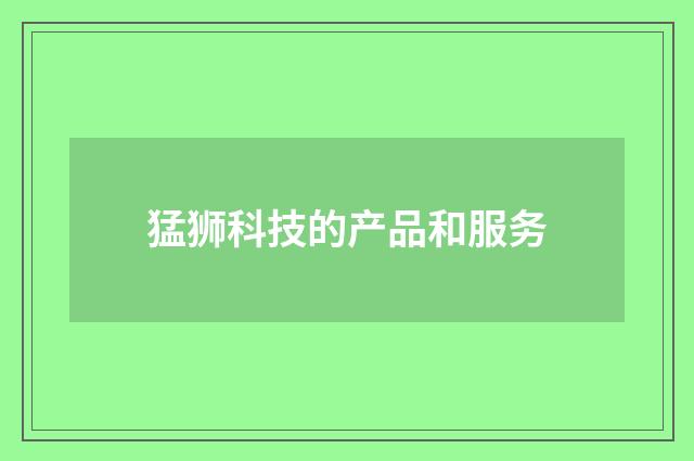猛狮科技的产品和服务