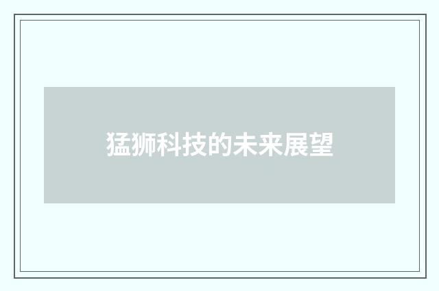 猛狮科技的未来展望