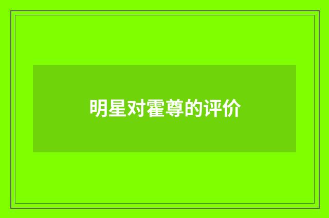 明星对霍尊的评价