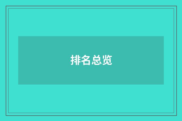 排名总览