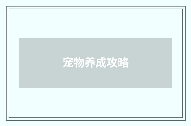 宠物养成攻略