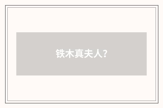 铁木真夫人？