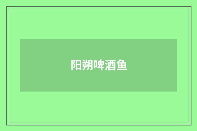 阳朔啤酒鱼