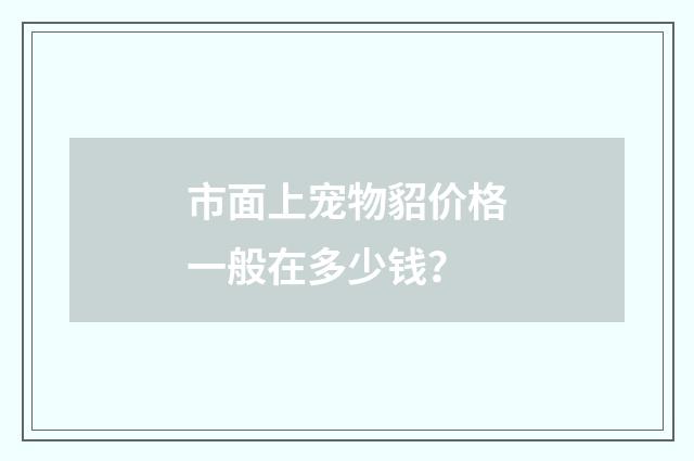 市面上宠物貂价格一般在多少钱？