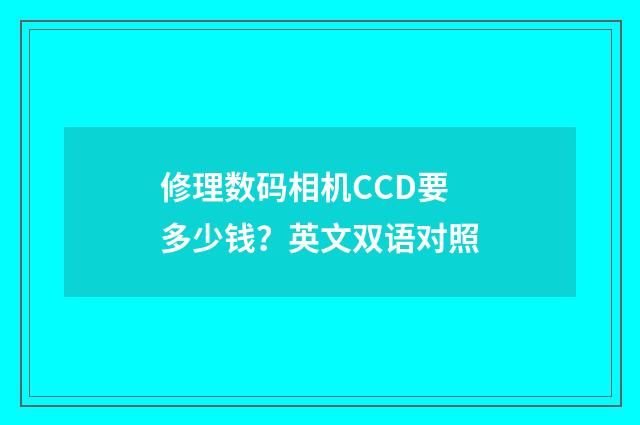 修理数码相机CCD要多少钱？英文双语对照