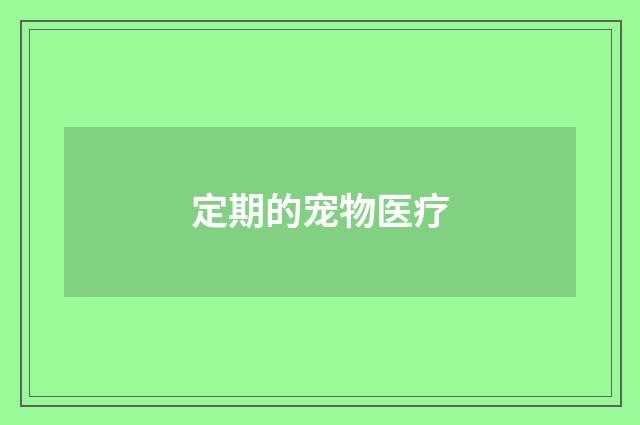 定期的宠物医疗