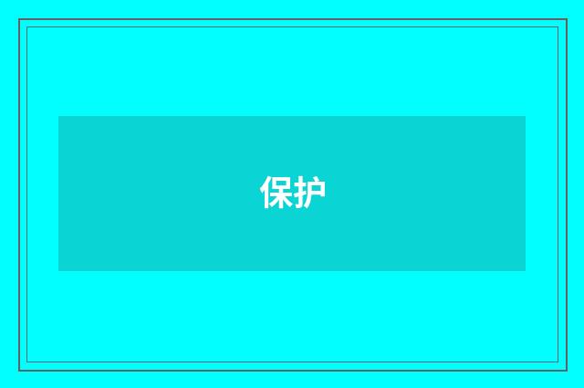 保护